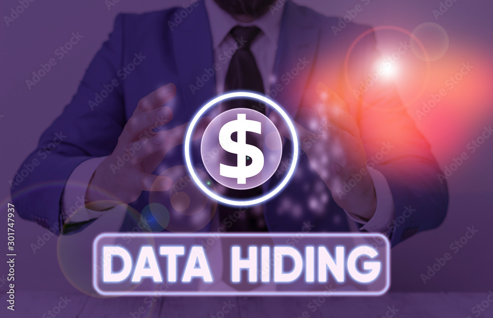 Poster word writing text data hiding. business photo showcasing secretly embedding data in graphics images 