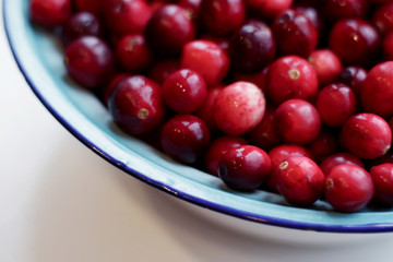 lot of fresh cranberries in a bowl close up