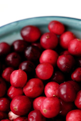 lot of fresh cranberries in a bowl close up