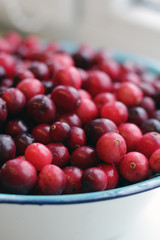 lot of fresh cranberries in a bowl close up