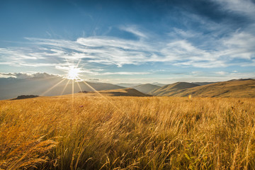 wheat field with sky and clouds