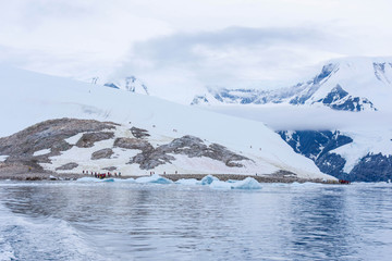 paysage grandiose antarctique