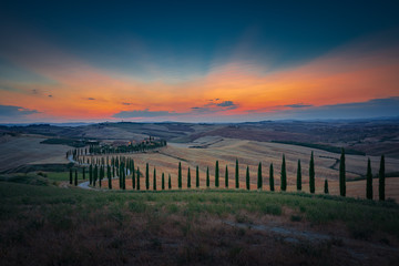 Obraz premium Wonderful sunset over Tuscany hills with alley of cypress trees. Travel destination Tuscany, Italy