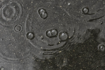 background puddle rain / circles and drops in a puddle, texture with bubbles in the water, autumn rain