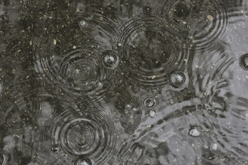background puddle rain / circles and drops in a puddle, texture with bubbles in the water, autumn rain © kichigin19
