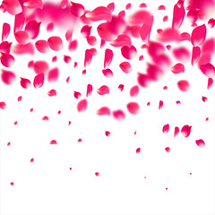 Pink falling petals of roses. Sakura flower pastel texture background.