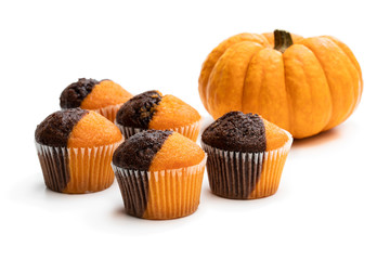 Fresh pumpkin and chocolate minimuffins with pumpkin isolated on white