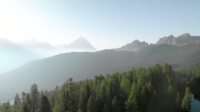 Drone aerial flying above mountain pine forest near Croda da Lago Federa in Dolomites Italy at sunrise. Hiking nature epic landscape in South Tyrol. European Alps wanderlust.