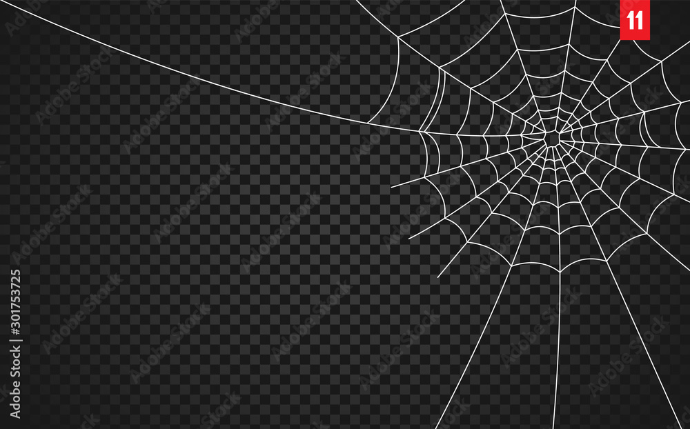 Wall mural Halloween cobweb and spiders isolated on dark transparency background