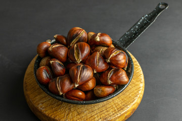Chestnut on black background in a jump