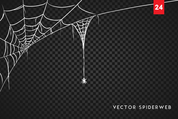 Halloween cobweb and spiders isolated on dark transparency background
