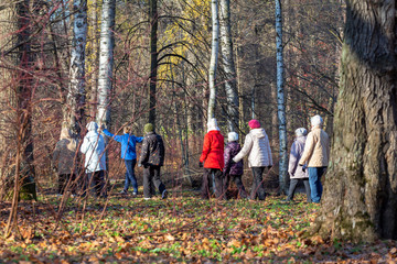  St. Petersburg, Russia - November 07,  2019: health group of elderly women with a trainer walking in nature in autumn park on a sunny morning. Active lifestyle for longevity
