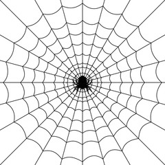 Halloween spider web and spiders isolated on white background