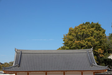 京都ぶらり、甍と青空