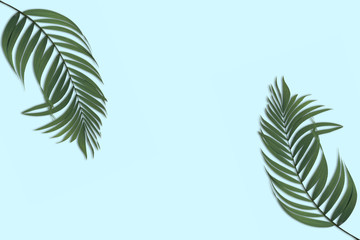 Summer composition with tropical leaves on pastel blue background. Summer concept top view with copy space