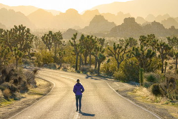 Woman walks down the empty freeway leading through Joshua Tree National Park