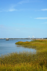 Marsh with view of Charleston South Carolina harbor