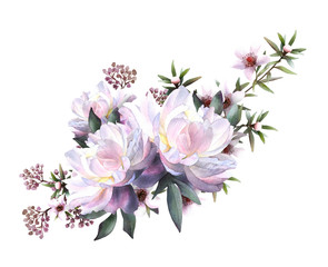 Picturesque floral arrangement of  peonies, teatree flowers,herbs and leaves hand drawn in watercolor isolated on white background.Watercolor illustration.Ideal for creating invitations, wedding cards