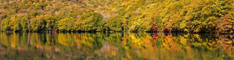 Fototapeta na wymiar The Tsuta Numa Lake in Aomori, Japan
