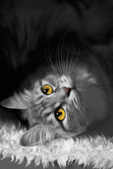 White and black image of cat with yellow and green eyes lying on soft white fur on black background, vertical closeup view with head