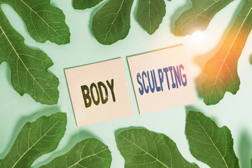 Text sign showing Body Sculpting. Business photo text activity of increasing the body s is visible muscle tone Leaves surrounding notepaper above an empty soft pastel table as background
