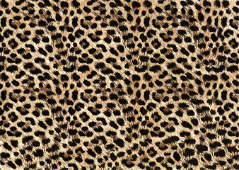 leopard skin texture © TT3 Design