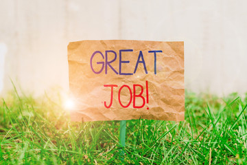 Word writing text Great Job. Business photo showcasing sed for telling someone that they have done something well Crumpled paper attached to a stick and placed in the green grassy land