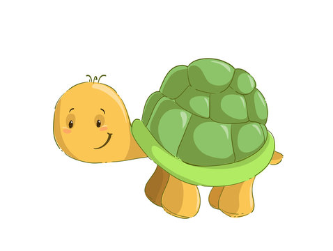 Baby turtle isolated on white background cartoon clipart