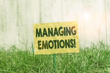 Word writing text Managing Emotions. Business photo showcasing ability be open to feelings and...
