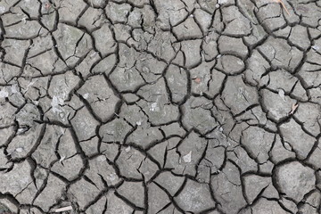 cracked earth at the bottom of a dried river