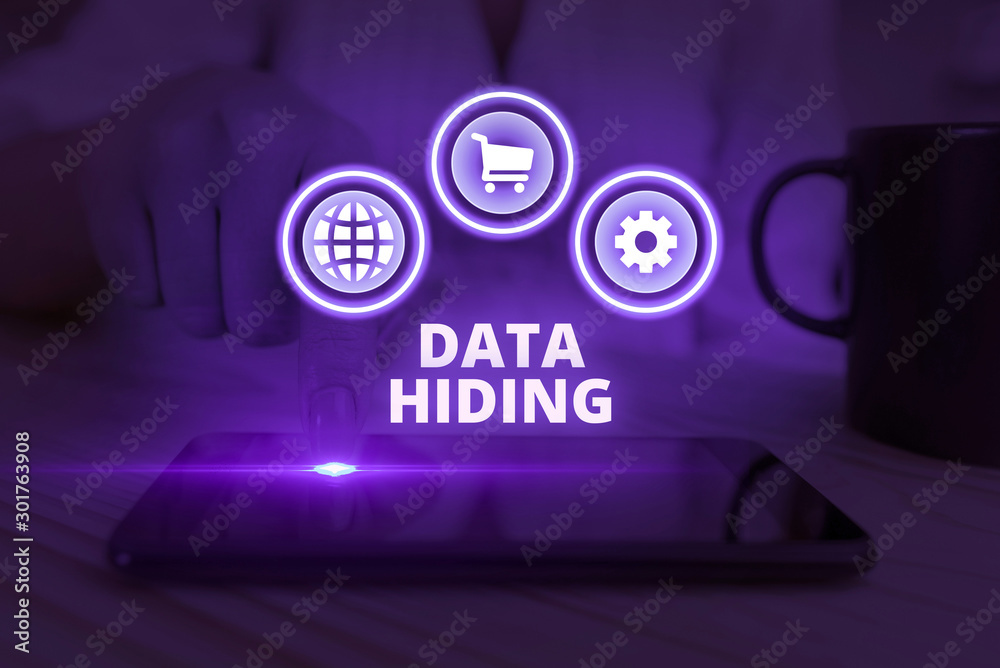 Poster word writing text data hiding. business photo showcasing secretly embedding data in graphics images 