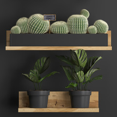 3d illustration of decorative shelves with potted plants