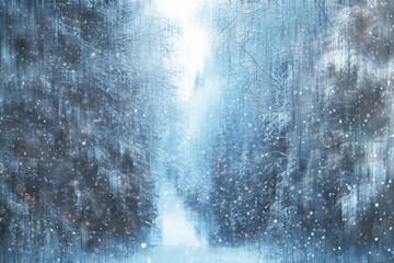 forest snow blurred background / winter landscape snow-covered forest, trees and branches in winter weather