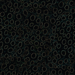 leopard abstract pattern circle style effect