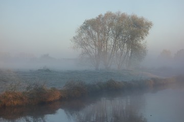Obraz na płótnie Canvas Niederrheinlandschaft bei Grefrath am morgen im Nebel