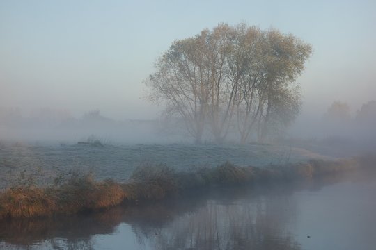 Niederrheinlandschaft bei Grefrath am morgen im Nebel
