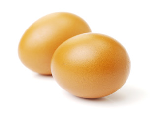 eggs on white background