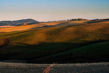 Landscape of the Siena hills at sunset
