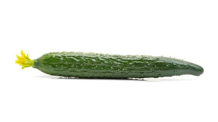 Green cucumber on the white background 