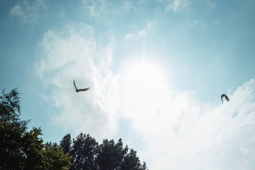nature. sky with clouds, birds fly