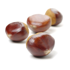 Fresh chestnuts on white background