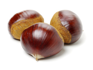Fresh chestnuts on white background