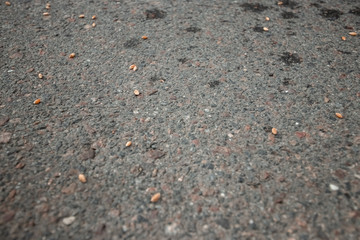 grain scattered on the asphalt, signs for happiness
