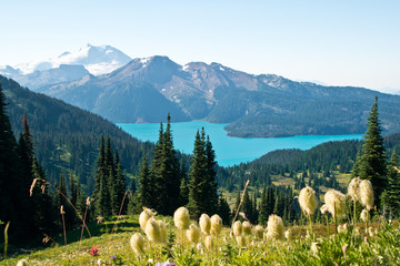 Hiking to Black Tusk in Garibaldi provincial park