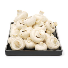 White mushrooms on white background