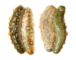 sea cucumber as a delicious sea food in Asian countries on white background