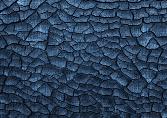 leopard skin pattern