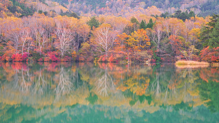 autumn in nikko japan with colorful trees and green pond