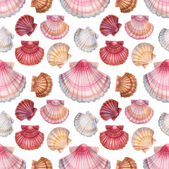 seashell seamless pattern on isolated white background, watercolor illustration