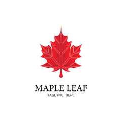 Maple leaf vector illustration
